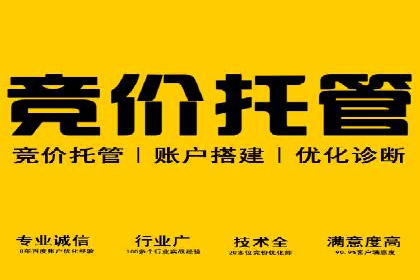 谷歌SEM广告投放的ROI优化：一家科技公司的成功经验